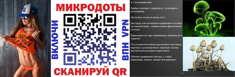 Псилоцибиновые грибы Psilocybe  Омутнинск 